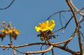 Little story of reunion (20)